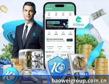 宝威体育 APP